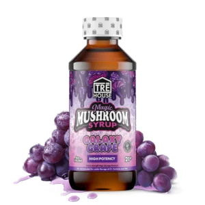 TRĒ House Galaxy Grape Mushroom Syrup, magic mushroom syrup, mushroom syrup edible, Neurotonin syrup, nootropic mushroom syrup, adaptogenic mushroom syrup, psychotropic mushroom syrup, fruity mushroom syrup, euphoric mushroom syrup, body buzz mushroom syrup, mind-melting mushroom syrup, relaxation mushroom syrup, mushroom syrup dosage, mushroom syrup microdose, mushroom syrup full dose, mushroom syrup effects, mushroom syrup flavor, mushroom syrup for beverages, mushroom syrup first time, TRĒ House mushroom products, legal mushroom syrup, mushroom syrup online, mushroom syrup shop, mushroom syrup premium, mushroom syrup potent, mushroom syrup high quality, mushroom syrup tasty, mushroom syrup smooth, mushroom syrup sweet, mushroom syrup concentrate, mushroom syrup blend, mushroom syrup proprietary, mushroom syrup active compounds, mushroom syrup guide, mushroom syrup recommended dose, mushroom syrup instructions, mushroom syrup fun, mushroom syrup mind trip, mushroom syrup mental clarity, mushroom syrup uplift, mushroom syrup vivid, mushroom syrup safe, mushroom syrup customer favorite, mushroom syrup popular, mushroom syrup trending, mushroom syrup fruity flavor, mushroom syrup grape, mushroom syrup cosmic, mushroom syrup adventure, mushroom syrup trip, mushroom syrup first sip, mushroom syrup taste test, mushroom syrup psychoactive, mushroom syrup easy use, mushroom syrup mixable, mushroom syrup beverages, mushroom syrup flavor explosion, mushroom syrup potent effects, mushroom syrup mind experience, mushroom syrup smooth experience, mushroom syrup vegan, mushroom syrup natural ingredients, mushroom syrup artificial flavor, mushroom syrup citric acid, mushroom syrup erythritol, mushroom syrup mimosa hostilis, mushroom syrup 5-HTP, mushroom syrup polyethylene glycol, mushroom syrup propylene glycol, mushroom syrup sucralose, mushroom syrup sodium benzoate, mushroom syrup high potency, mushroom syrup unique, mushroom syrup sweet grapes, mushroom syrup cosmic journey, mushroom syrup mind-blowing, TRĒ House Strawberry Gelato Mushroom Syrup, magic mushroom syrup, mushroom syrup edible, Neurotonin syrup, nootropic mushroom syrup, adaptogenic mushroom syrup, psychotropic mushroom syrup, fruity mushroom syrup, euphoric mushroom syrup, body buzz mushroom syrup, mind-melting mushroom syrup, relaxation mushroom syrup, mushroom syrup dosage, mushroom syrup microdose, mushroom syrup full dose, mushroom syrup effects, mushroom syrup flavor, mushroom syrup for beverages, mushroom syrup first time, TRĒ House mushroom products, legal mushroom syrup, mushroom syrup online, mushroom syrup shop, mushroom syrup premium, mushroom syrup potent, mushroom syrup high quality, mushroom syrup tasty, mushroom syrup smooth, mushroom syrup sweet, mushroom syrup concentrate, mushroom syrup blend, mushroom syrup proprietary, mushroom syrup active compounds, mushroom syrup guide, mushroom syrup recommended dose, mushroom syrup instructions, mushroom syrup fun, mushroom syrup mind trip, mushroom syrup mental clarity, mushroom syrup uplift, mushroom syrup vivid, mushroom syrup safe, mushroom syrup customer favorite, mushroom syrup popular, mushroom syrup trending, mushroom syrup fruity flavor, mushroom syrup berry, mushroom syrup strawberry, mushroom syrup cosmic, mushroom syrup adventure, mushroom syrup trip, mushroom syrup first sip, mushroom syrup taste test, mushroom syrup psychoactive, mushroom syrup easy use, mushroom syrup mixable, mushroom syrup beverages, mushroom syrup flavor explosion, mushroom syrup potent effects, mushroom syrup mind experience, mushroom syrup smooth experience, mushroom syrup vegan, mushroom syrup natural ingredients, mushroom syrup artificial flavor, mushroom syrup citric acid, mushroom syrup erythritol, mushroom syrup mimosa hostilis, mushroom syrup 5-HTP, mushroom syrup polyethylene glycol, mushroom syrup propylene glycol, mushroom syrup sucralose, mushroom syrup sodium benzoate, mushroom syrup high potency, mushroom syrup unique, mushroom syrup sweet berries, mushroom syrup summer fruit, mushroom syrup mind-blowing,