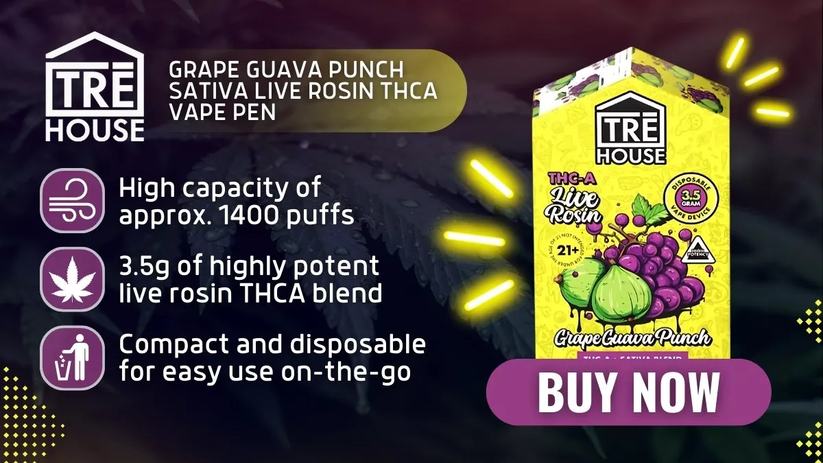Grape Guava Punch THCA vape pen, Live Rosin Sativa vape, TRĒ House THCA vape, disposable THCA pen, 3.5g THCA vape, Delta 8 vape, Delta 9 vape, THC-A vape, Entourage Effect vape, hybrid strain vape, flavor-rich THCA vape, head buzz vape, body buzz vape, mood elevation vape, smooth vape experience, pre-filled vape pen, rechargeable THCA pen, fast-acting THCA vape, euphoric THCA vape, terpene-rich vape, cannabis concentrate pen, psychoactive vape, potent THCA vape, premium THCA pen, true-to-strain flavor, Grape Guava flavor vape, long-lasting vape, hybrid THC pen, THC-A disposable vape, portable THCA pen, pre-charged vape pen, high-potency THCA vape, hybrid Sativa vape, aromatic THCA vape, relaxation vape pen, creativity boost vape, munchies vape, mellow high vape, head-to-body buzz, cannabis vape online, vape shipping worldwide, adult-only vape pen, legal hemp vape, pre-filled Sativa pen, premium cannabis vape, flavorful vape pen, smooth vapor THCA, quick-hitting THCA effects, psychoactive Sativa vape, disposable hybrid vape, THC-A cloud vape, terpene vape effects, euphoric hybrid vape, stress relief vape, energizing vape pen, potent Delta 8 pen, potent Delta 9 pen, THCA concentrate pen, premium live rosin pen, high-quality vape, Sativa terpene vape, aromatic hybrid vape, fast delivery vape, TRĒ House Grape Guava vape, Grape Guava THCA pen, cannabis vaping experience, adult-use THCA pen, potent Sativa vape, flavorful hybrid pen, smooth Sativa vapor, heady psychoactive vape, rich terpene vapor,
