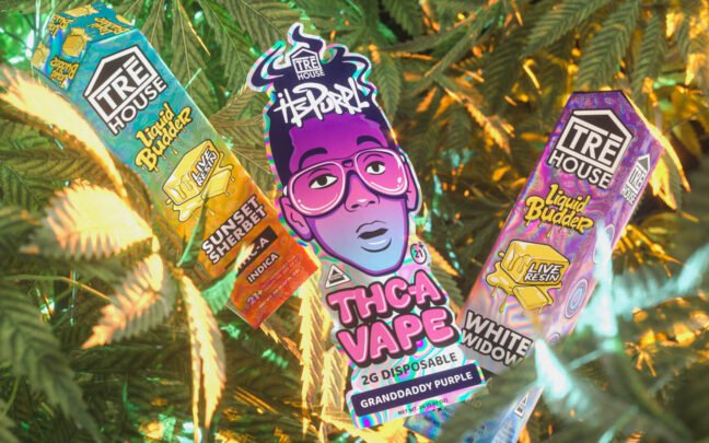TRĒ House Sunset Sherbet THC-A Vape Pen, Sunset Sherbet THC-A vape, THC-A vape pen, hybrid THC-A vape, hemp-derived THC-A vape, Delta 8 vape pen, Delta 9 vape pen, THC-P vape pen, live resin vape, liquid budder vape, pre-filled vape pen, rechargeable THC-A pen, disposable THC-A pen, potent THC-A vape, hybrid effects vape, euphoric vape pen, full-spectrum vape pen, THC-A cloud, THC-A high, THC-A body buzz, THC-A head buzz, THC-A relaxation, THC-A mood elevation, THC-A mildly trippy, THC-A adult use, THC-A vape online, TRĒ House vape pen, TRĒ House THC-A products, THC-A vape fast shipping, THC-A vape USA, THC-A vape UK, THC-A vape Europe, THC-A vape review, THC-A vape potency, THC-A vape experience, THC-A vape flavor, THC-A vape smooth, THC-A vape intense, THC-A vape session, THC-A vape pre-filled, THC-A vape hybrid, THC-A vape concentrate, THC-A vape cloud effects, THC-A vape 2g, THC-A vape 4 cannabinoids, THC-A vape potent effects, THC-A vape long-lasting, THC-A vape euphoric, THC-A vape body high, THC-A vape head high, THC-A vape terpenes, THC-A vape premium, THC-A vape adult, THC-A vape legal, THC-A vape buy online, THC-A vape enjoyable, THC-A vape hybrid experience, THC-A vape rich flavor, THC-A vape smooth draw, THC-A vape fast effects, THC-A vape top quality, THC-A vape classic strain, THC-A vape concentrated, THC-A vape potent clouds,
